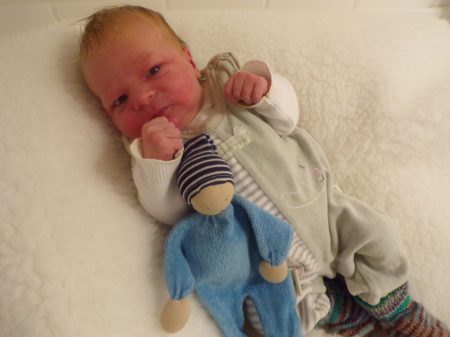 KODAK Digital Still Camera