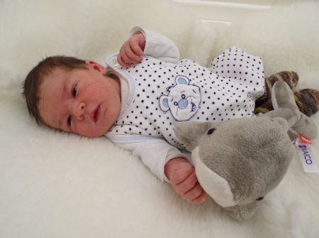 KODAK Digital Still Camera