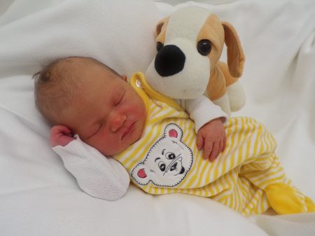 KODAK Digital Still Camera