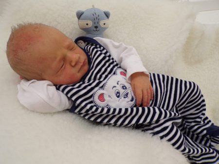 KODAK Digital Still Camera