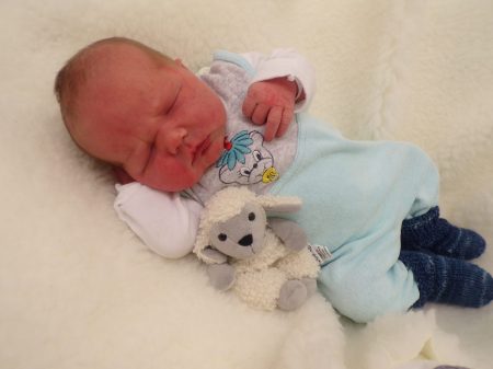 KODAK Digital Still Camera