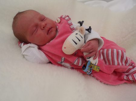 KODAK Digital Still Camera