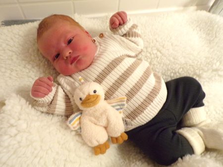 KODAK Digital Still Camera