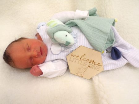 KODAK Digital Still Camera