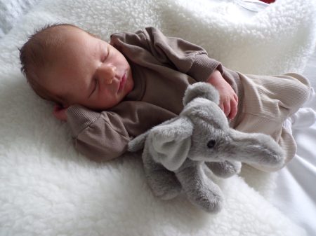 KODAK Digital Still Camera