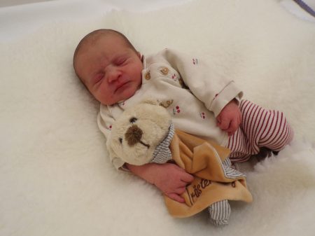 KODAK Digital Still Camera