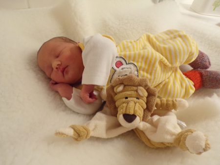 KODAK Digital Still Camera