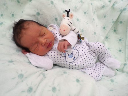 KODAK Digital Still Camera