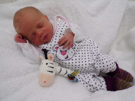 KODAK Digital Still Camera