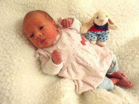 KODAK Digital Still Camera