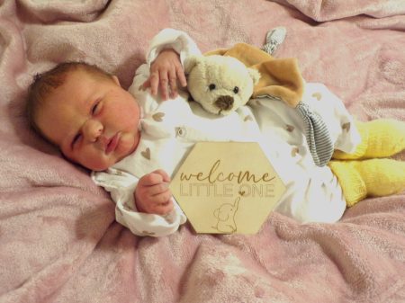 KODAK Digital Still Camera