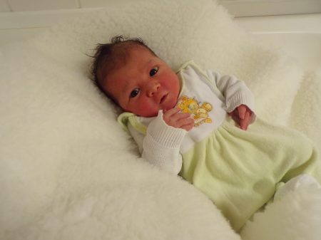 KODAK Digital Still Camera