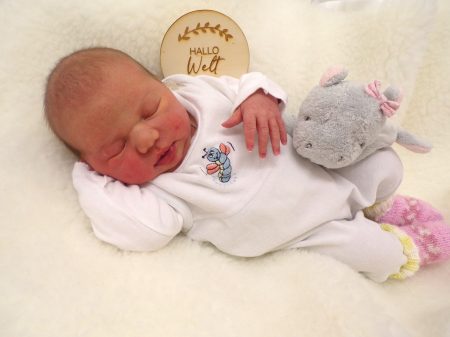 KODAK Digital Still Camera