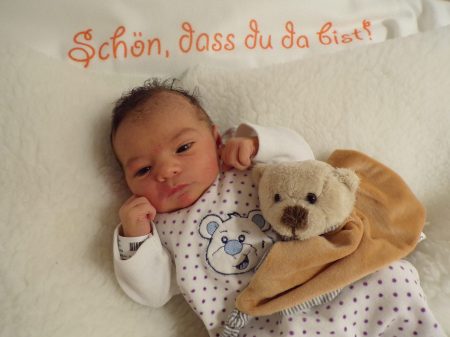 KODAK Digital Still Camera