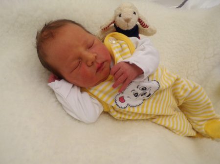 KODAK Digital Still Camera