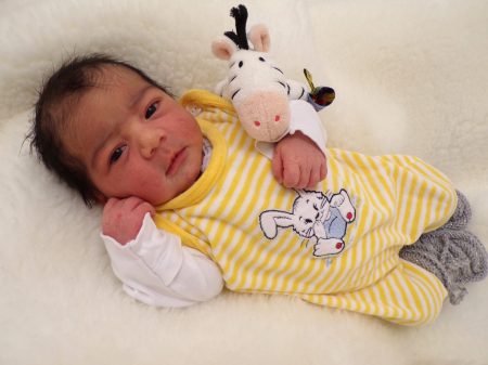 KODAK Digital Still Camera