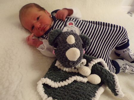 KODAK Digital Still Camera