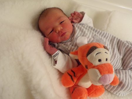 KODAK Digital Still Camera