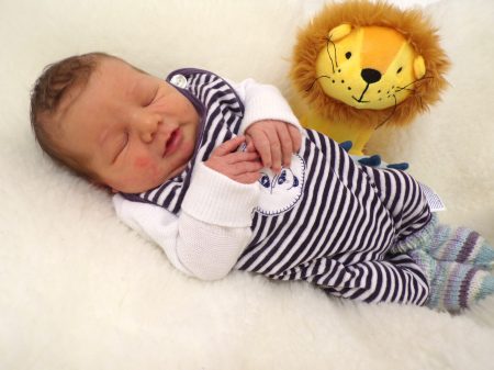 KODAK Digital Still Camera