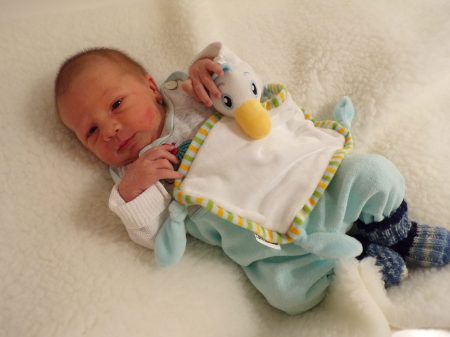 KODAK Digital Still Camera