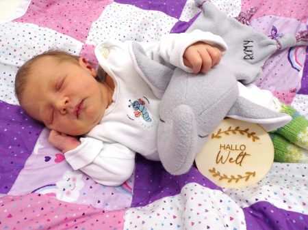 KODAK Digital Still Camera