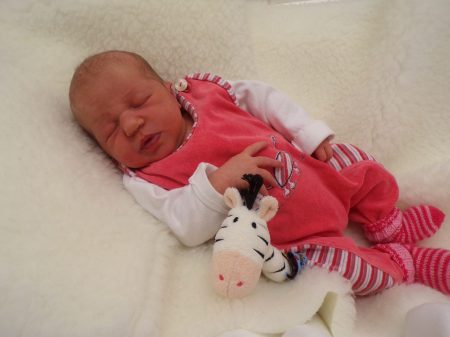 KODAK Digital Still Camera