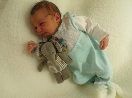 KODAK Digital Still Camera