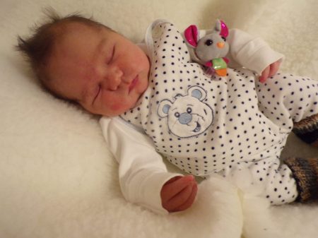 KODAK Digital Still Camera