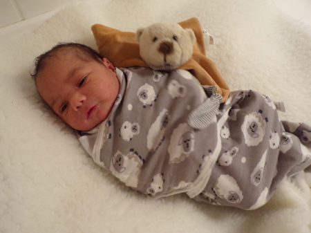 KODAK Digital Still Camera