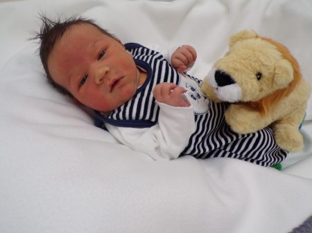 KODAK Digital Still Camera