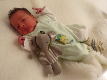 KODAK Digital Still Camera