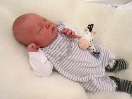 KODAK Digital Still Camera