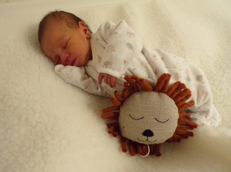 KODAK Digital Still Camera