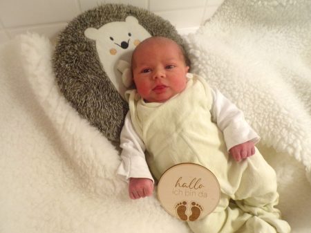 KODAK Digital Still Camera