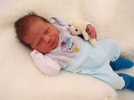 KODAK Digital Still Camera