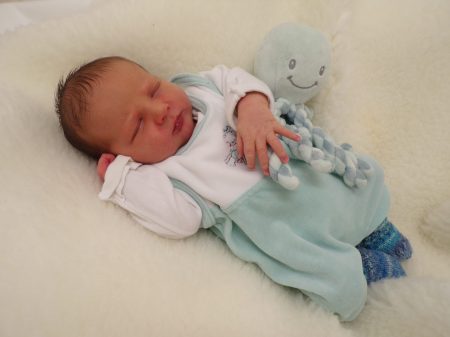 KODAK Digital Still Camera