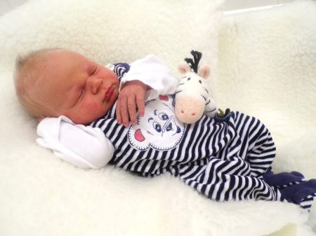 KODAK Digital Still Camera