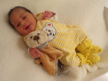 KODAK Digital Still Camera