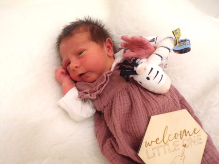 KODAK Digital Still Camera