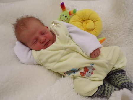 KODAK Digital Still Camera