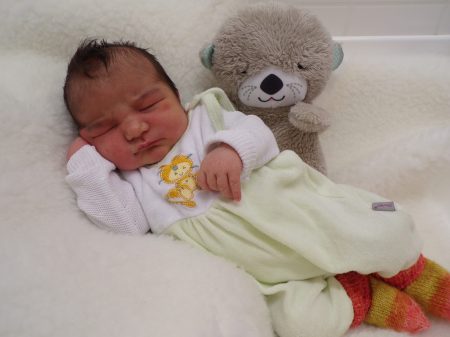 KODAK Digital Still Camera