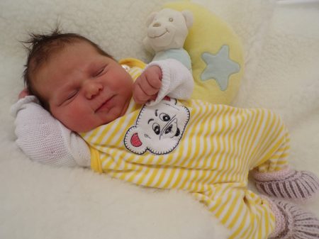 KODAK Digital Still Camera