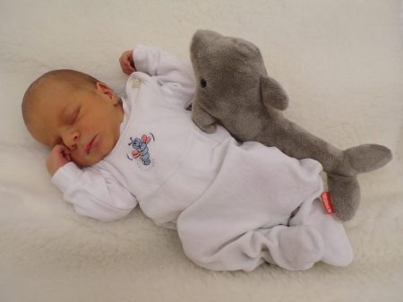 KODAK Digital Still Camera