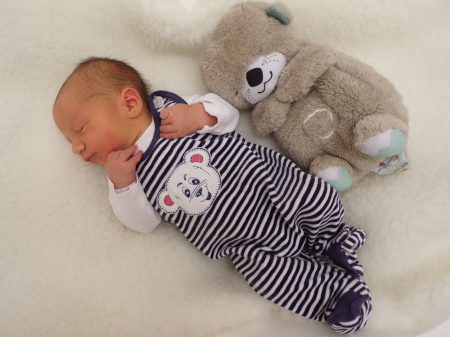 KODAK Digital Still Camera