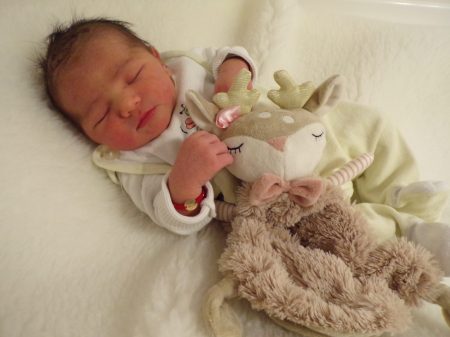 KODAK Digital Still Camera