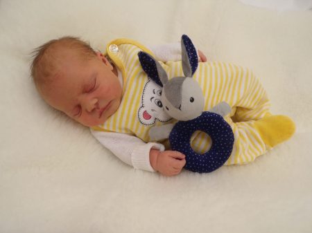 KODAK Digital Still Camera