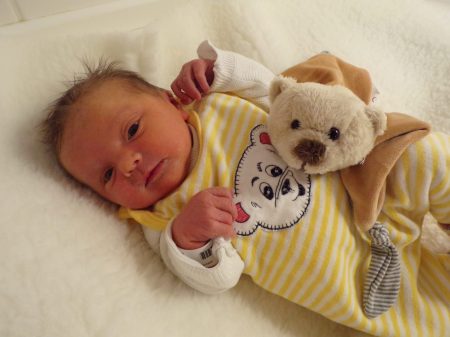 KODAK Digital Still Camera